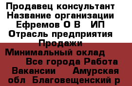 Продавец-консультант › Название организации ­ Ефремов О.В., ИП › Отрасль предприятия ­ Продажи › Минимальный оклад ­ 22 000 - Все города Работа » Вакансии   . Амурская обл.,Благовещенский р-н